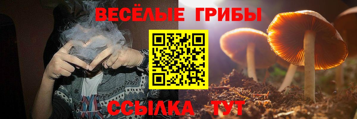 Галлюциногенные грибы мухоморы Красноуфимск